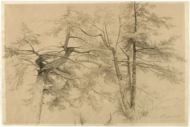 Studio di due alberi, Bolton, Lake George, New York, 1863